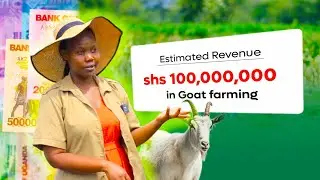 🚜 How to Start a Simple Goat Farm with Great Profits in 2025 🐐