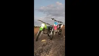 petrol head paradise gone wrong