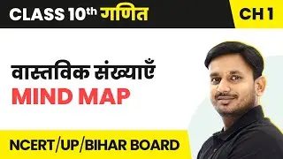Real Numbers (वास्तविक संख्याएँ) - Mind Map | Class 10 Maths Chapter 1 | State Boards