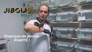 Doenças das Jiboias (Parte 1)