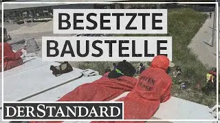 Lobau: Protestcamp erneut geräumt
