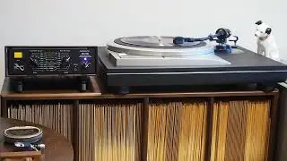Susie / Wolverine Orchestra