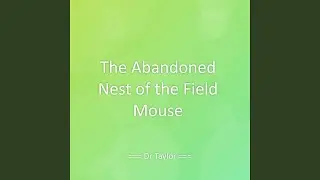 The Abandoned Nest of the Field Mouse
