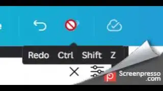 Undo Ctrl z Redo Shift Ctrl z