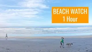 Quiet Surf Watch with Ocean Sounds