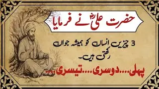 Hazrat Ali (R.A) Irshadat❤️| Islamic Proverbs | Danai Ki Batain || Golden Word |World of Wisdom