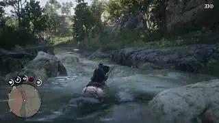 Rdr2 chapter 2 part 4&1/2