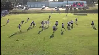 Kadence price highlight