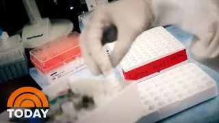 Nearly 300,000 Coronavirus Deaths Now Predicted In US By End Of Year | TODAY