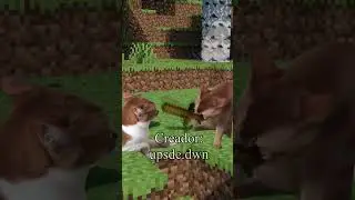 GATOS EN MINECRAFT #doblaje #humor