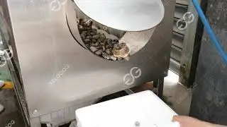 clam washing machine GG