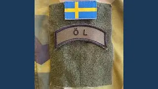 Vi ska dricka &ouml;l
