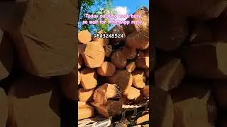 Rosemary plant and professional courier packing tracking today video #home#delivery#plants#packing