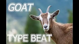 I made a beat with goat noises.