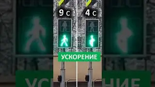 Когда зелёный погаснет? Светофоры 