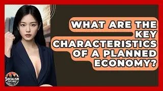What Are The Key Characteristics Of A Planned Economy? - Socialism Explained