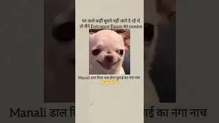 अब होगा घुमाई का नंगा नाच 😂😂 #shorts #funny #trending #dogtalk #funnydogs #dog #memes  #reels