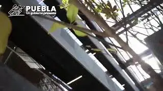 Inauguración del. H Congreso del Estado de Puebla