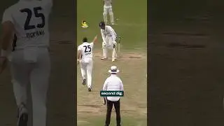 Spicy wickets for the Ashes? 🌶️