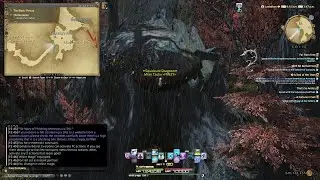 CNJ guild tree stump wrong warp -  Self destruct, double jump (macros below), duty queue