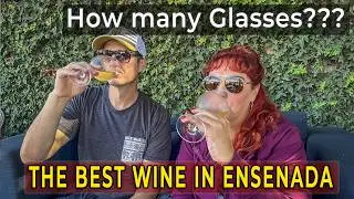 Сколько бокалов вина я выпила?! 🍷 Как найти лучшие виноградники в Энсенаде