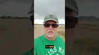 Business Consultant - Prove your strategies work