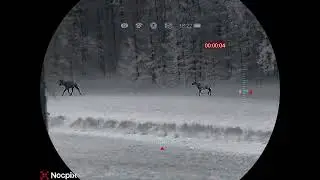 Nocpix Mate Ultra S60R LRF Clip-on - Swedish Moose