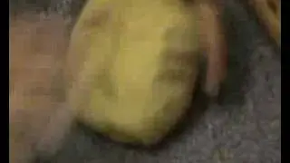 La crostata