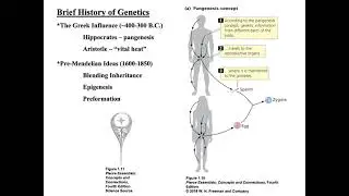 BIOL3010_Lec1 Intro S21