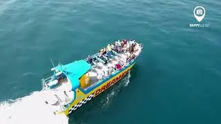 Caves & Dolphin Search on the Boat Dreamer