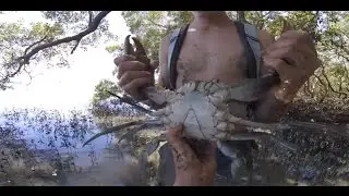HUGE MUDCRABS Caught BAREHANDED - Catch n Cook - With BUTTER LEMON Sauce!