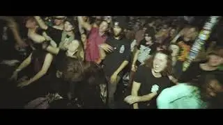 eazybaked& lost dogz recap
