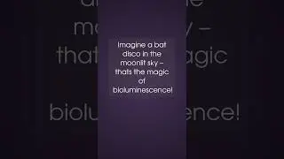 What makes bioluminescent bats glow in the dark? the unseen #marvels of bioluminescent bats