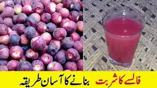 falsa juice recipe/false ka sharbat/cold juice/falsa benefits 100% pure