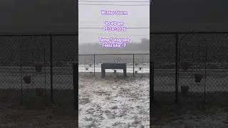 Начало зимней бури 🥶, часть 2 #снег #погода #youtube #тренды #дом