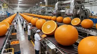 Orange Juice Factory Secrets Revealed by Top Food Scientist