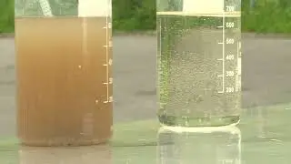A Petit-Caux, la plage partiellement interdite à la baignade à cause d’une pollution des eaux