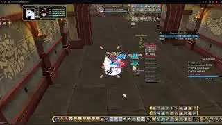 Flyff Universe Jester/RM duo 1v1 Secret Room