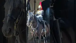 💂💂 ROYAL GUARD | LONDON KING'S GUARD 2025 #kingsguards #royalguards  #horseguards #britishroyalguard