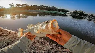 Fishing Golf Course Ponds to Find BIG Bass