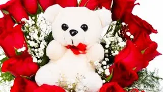 Happy teddy day in Advance❤️Cute teddy❤️ 10 Feb 2021😘Valentine week special 💞For all teddy lovers💞💖