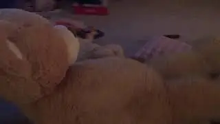 I KILLED GIANT TEDDY BEAR!!! (Fake)