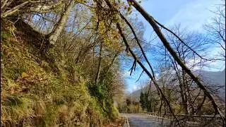 🌬️Windy 🌲Mountain 🚗Drive