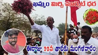 20/01/2026  khammam mirchi market price khammam mirchi market today #dharalu#mirchi#mirchiratetoday