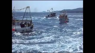 Neću više na more - STARA SRDELA - Makarska