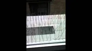 Pigeon Problem Solved: Air Conditioner Installation