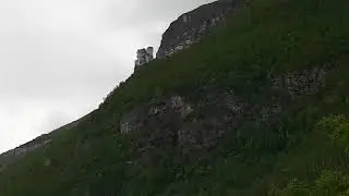 skjul