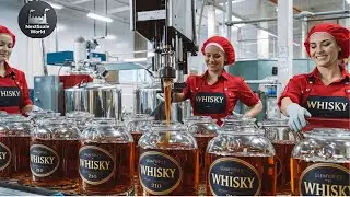 How Whisky is Made in the Mega Factory: Millions of Bottles are Crafted Daily