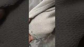 cotton terry fabric