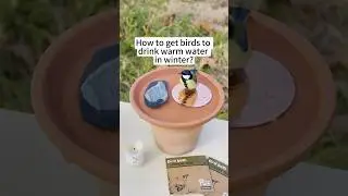 I have made a simple DlY bird bath heater for the birds.Would you use it in your backyard?#mellbree